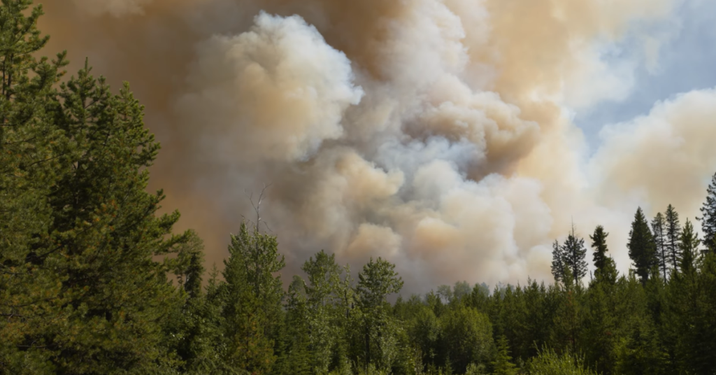 Kansas City Fire Warning