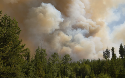 Kansas City Fire Warning