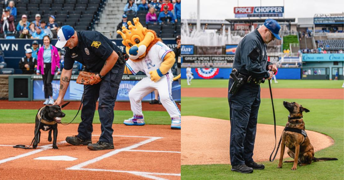 K-9 Flick and K-9 Rocky kansas city