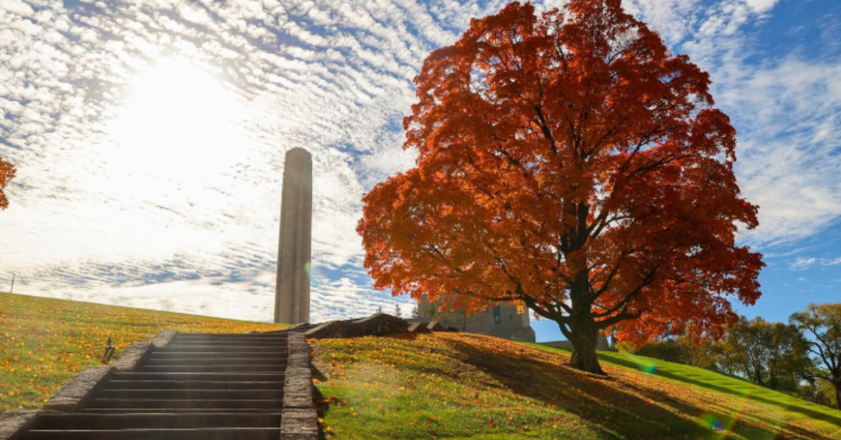 kansas city canopy planting trees