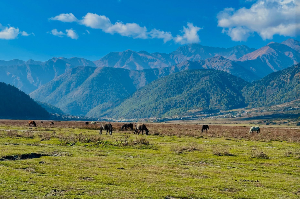 dhorpatan hunting reserve