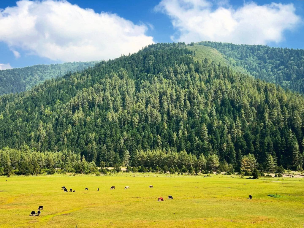 dhorpatan hunting reserve