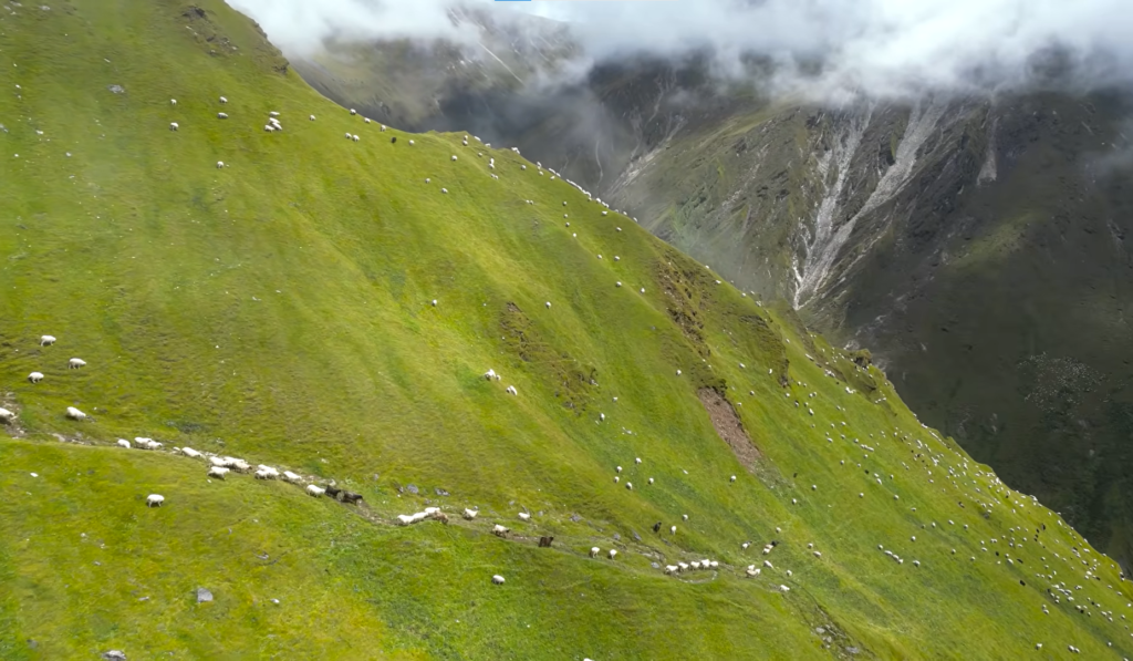 dhorpatan nepal trek