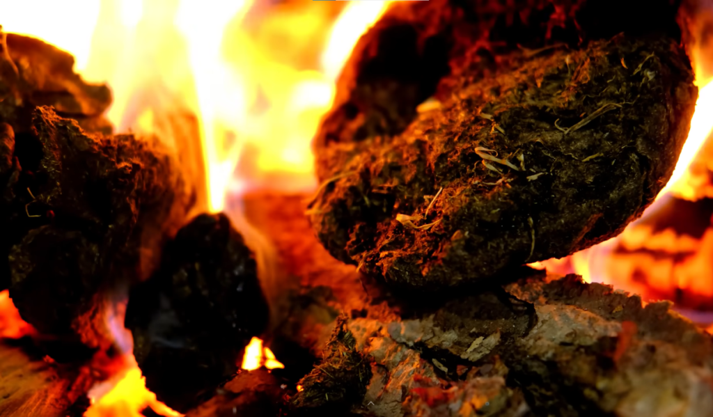 yak dung for heat