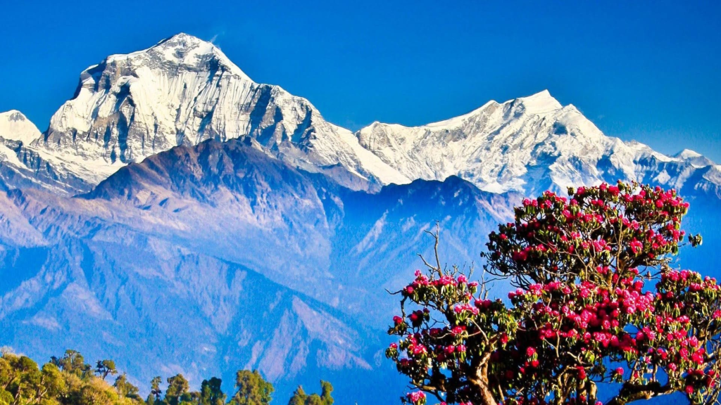 Best Treks in Nepal Under 10 Days poon hill trek