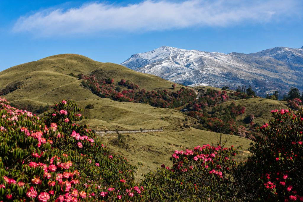 pikey peak trek nepal